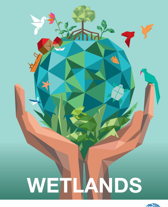 Celebrating World Wetland Day