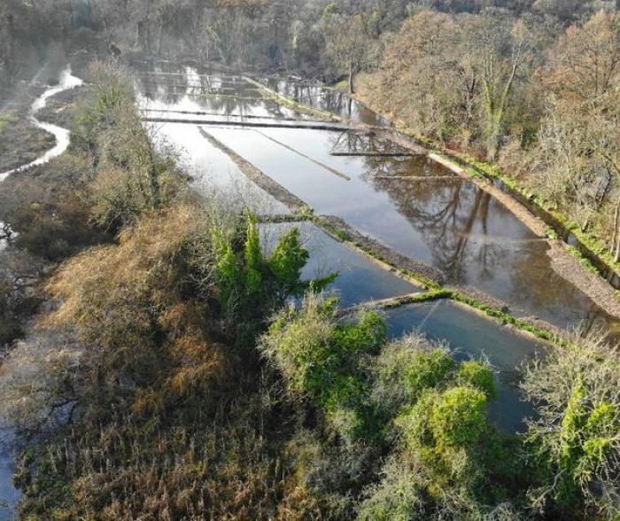 Cassiobury Park nature reserve - Image credit Watford Council_1