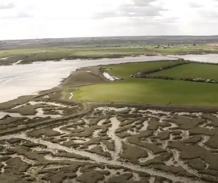 Northey Island Salt Marsh s_0