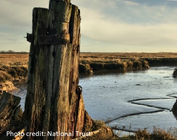 Wetland Habitat Creation – Northey Island
