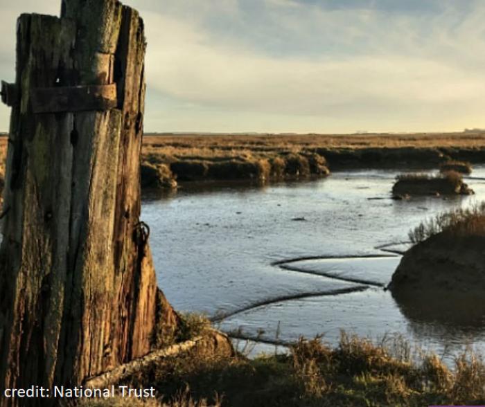 Northey-Island_0