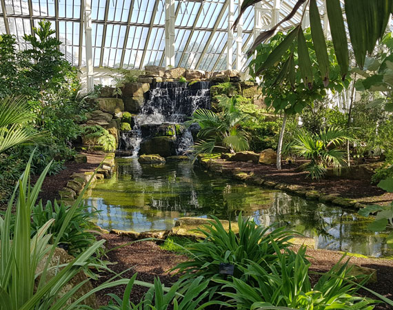 Reflection Pool & Waterfall Creation