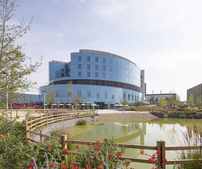 Royal_Papworth_Hospital_duck_pond_0