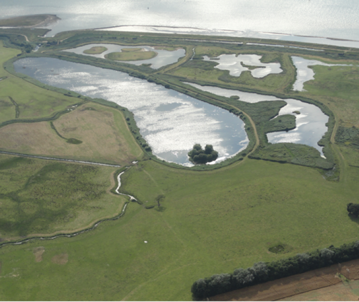 trimley wetlands_0